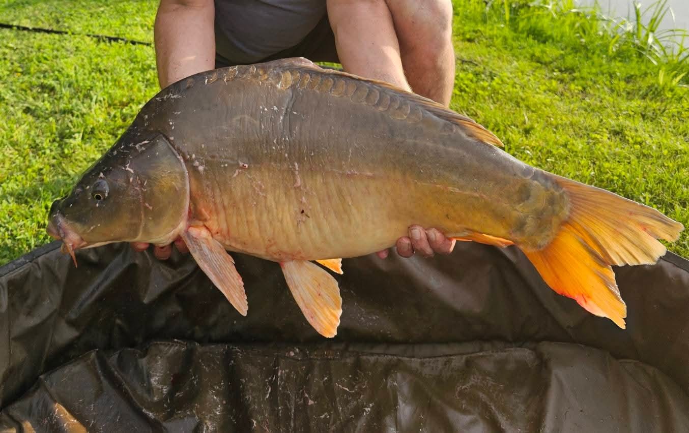 Sezon 2025 WhatsApp 77